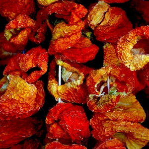 Fruits oranges qui sèchent sur un fil - Turquie  - collection de photos clin d'oeil, catégorie plantes